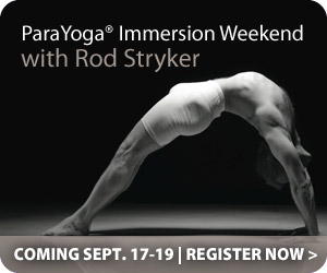 Rod Stryker Workshop and Master Class Rod Stryker Workshop and Master Class